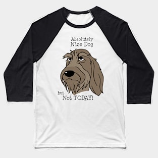 Spinone Italiano - Nice Dog Baseball T-Shirt
